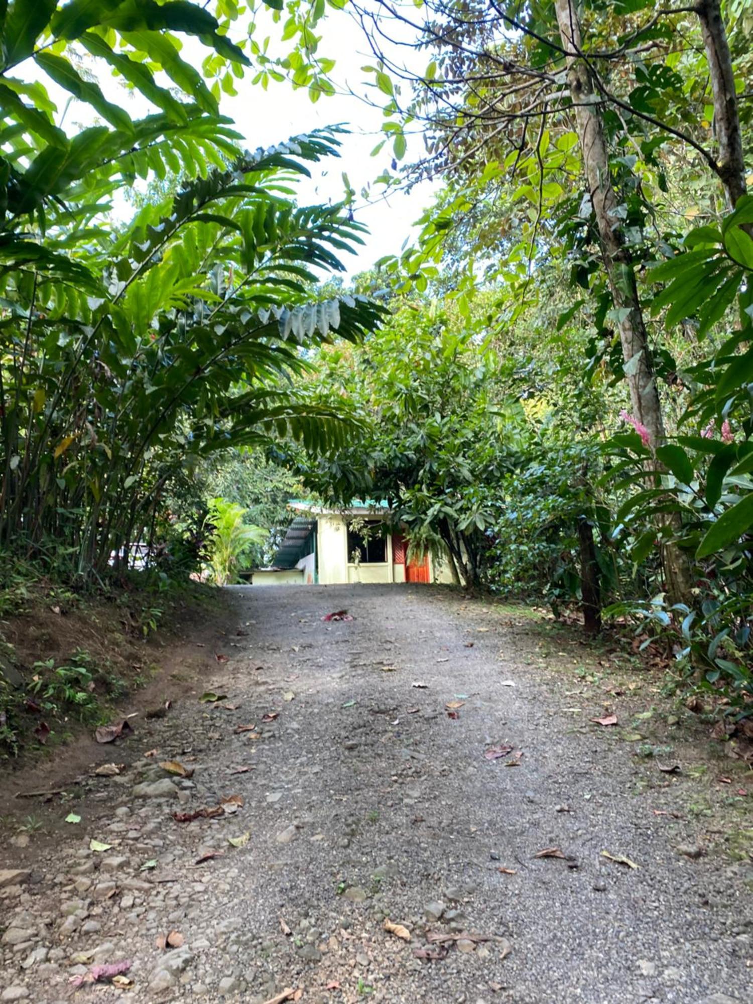 Campo Verde House, La Fortuna De San Carlos Buitenkant foto